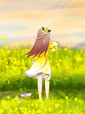 镜中之焰小说